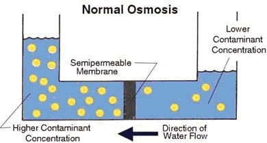 How does reverse osmosis work?