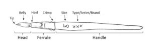 Parts of a brush.