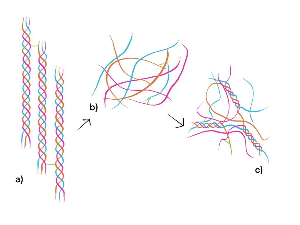 Rabbit-skin glue - Wikipedia