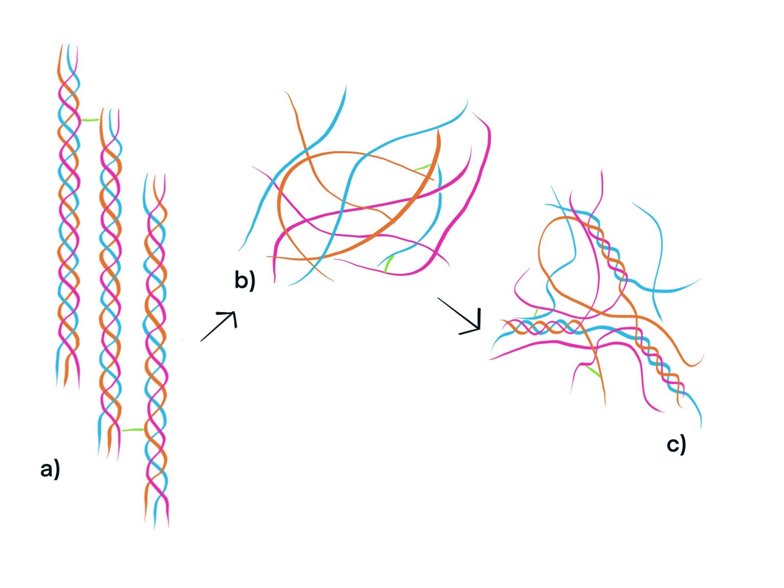 Rabbit Skin Glue Pros & Cons Just Paint